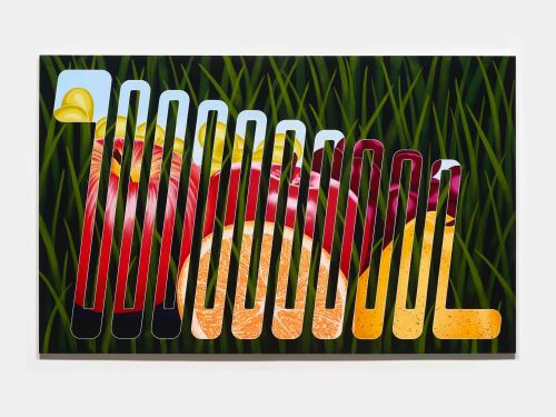 Henry Gunderson, Bio Degradation, 2015. Acrylic on canvas, 60 x 96 in, 152 x 244 cm