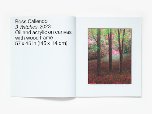 Ross Caliendo, Horizon Pupil, Catalogue. 