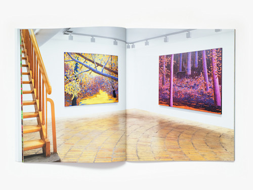 Ross Caliendo, Horizon Pupil, Catalogue. 