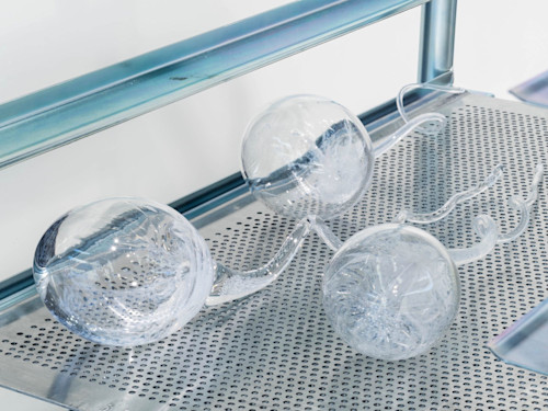 Zoe Barcza, Sperm, 2016. Hand blown glass, Varying sizes approx 3 x 3 x 14 in, 7 x 7 x 35 cm