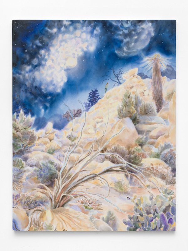 Acrylic on poplin, 80 x 62 in (203 x 157 cm)