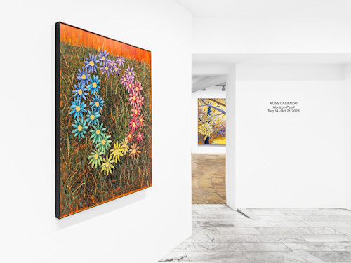 Ross Caliendo, Horizon Pupil, Sept 14–Oct 21, 2023. 