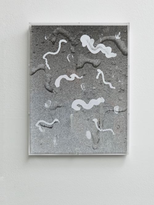 Sandra Vaka Olsen, Sunshield 3, 2014. Photograph, suncream on dibond in plexiglass frame, epoxy, 16 x 12 in, 40 x 30 cm