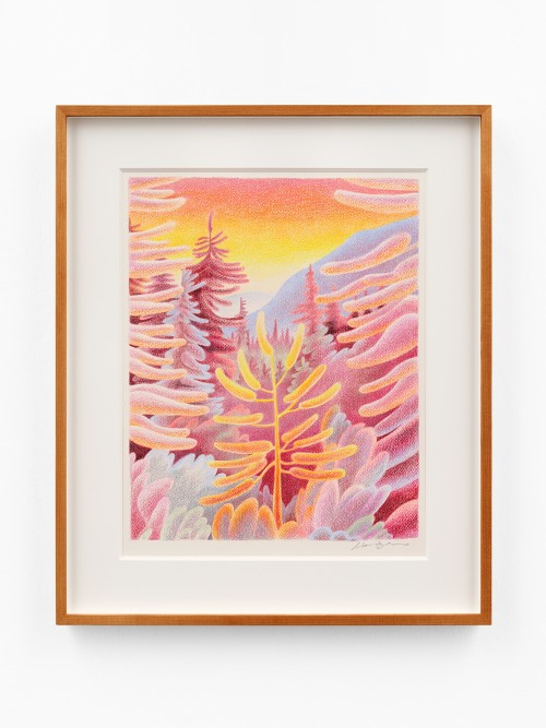 Madeleine Bialke, Fall (Custer Gallatin), 2024. Colored pencil on paper, Image size- 14 x 11 in (36 x 28 cm)