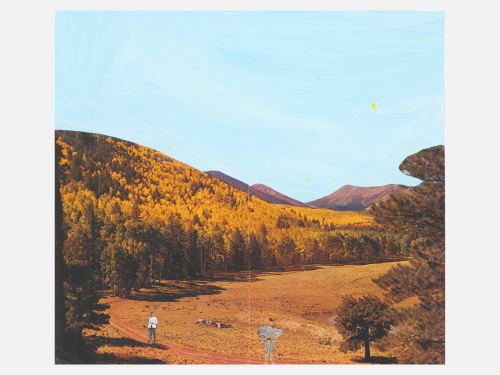 Misaki Kawai, Macho Forest, 2005. Collage and gouache on paper, 16 x 18 in, 40 x 45 cm