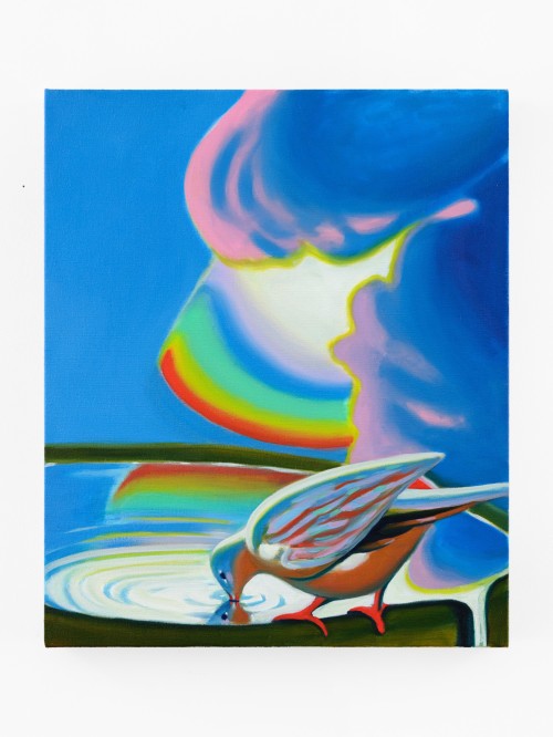 Anja Salonen, Drinking Dove (1), 2023. Oil on linen, 24 x 20 in (61 x 51 cm)