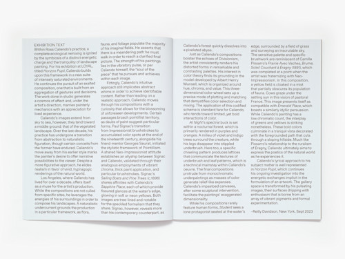 Ross Caliendo, Horizon Pupil, Catalogue. 