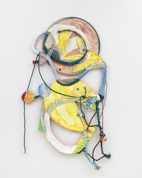Rachel Eulena Williams, Hanging Shield, 2019. Acrylic on canvas, wire, cotton rope on wood panel, 60 x 38 in (151 x 97 cm)