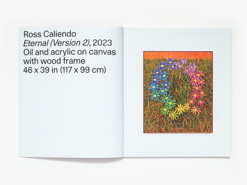 Ross Caliendo, Horizon Pupil, Catalogue. 