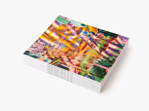 Lauren Quin, Bat's Belly, Catalogue. 