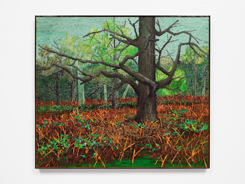 Ross Caliendo, Old Tree, 2026. Oil and acrylic on canvas with wood frame, 36 x 41.5 in (91 x 105 cm)