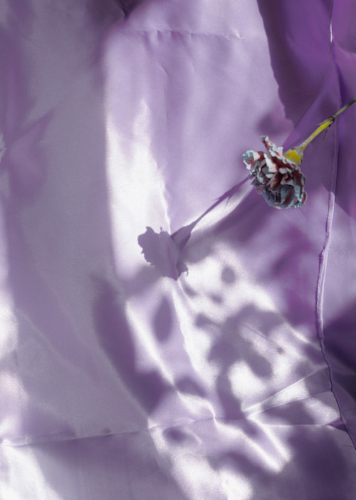 Louise Enhörning, Transformation 2, 2019. Pigment print on 300g cotton paper, 31 x 22 in, 80 x 57 cm