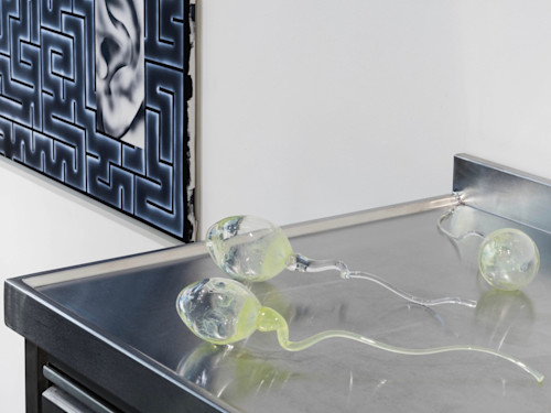 Zoe Barcza, Sperm, 2016. Hand blown glass, Varying sizes approx 3 x 3 x 14 in, 7 x 7 x 35 cm