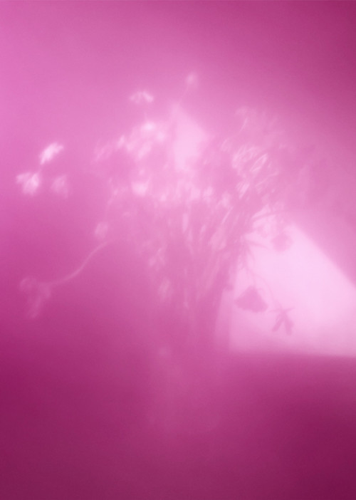 Louise Enhörning, Transformation 3, 2019. Pigment print on 300g cotton paper, 31 x 22 in, 80 x 57 cm