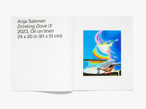 Anja Salonen, Runoff, Catalogue. 
