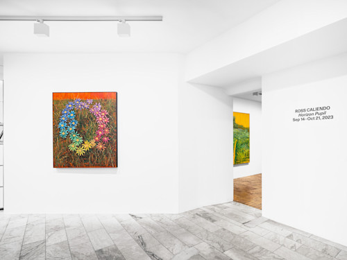 Ross Caliendo, Horizon Pupil, Sept 14–Oct 21, 2023. 