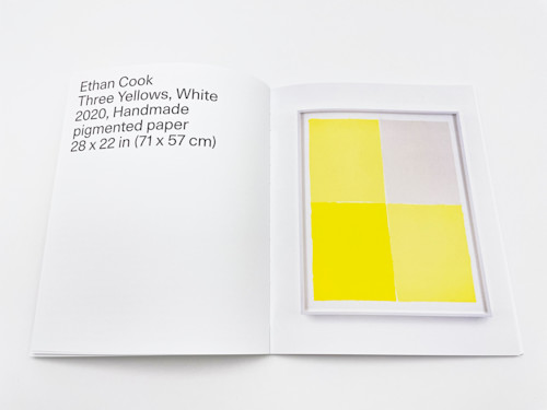 Ethan Cook, A Rainbow in Curved Air. 