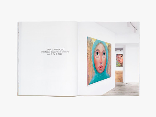 Tania Marmolejo, What Was Saved from the Fire, Catalogue. 
