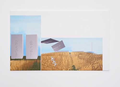 James Ferraro, 3D Printed Slum & Gluten Free Wheat Biome, 2017. Digital print on canvas, 24 x 39 in, 60 x 100 cm