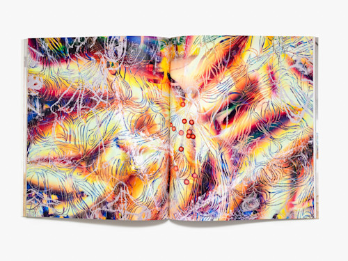 Lauren Quin, Bat's Belly, Catalogue. 