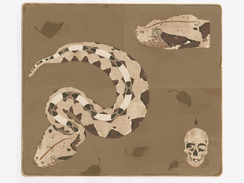 Stefan Danielsson, Bitis Gabonica, 2006. Collage on paper, 9 x 11 in, 23 x 27 cm