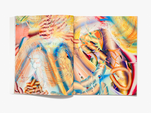 Lauren Quin, Bat's Belly, Catalogue. 