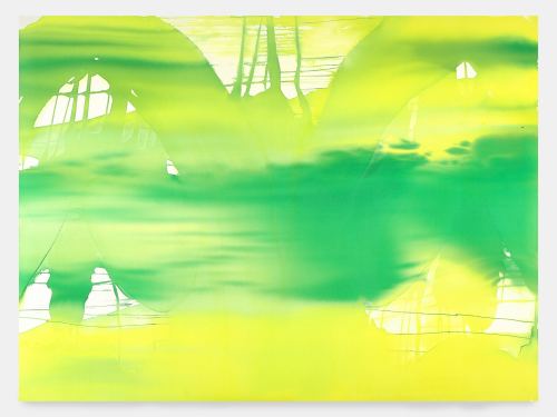 Liz Markus, It Rolls The Meadows, 2007. Acrylic on unprimed canvas, 63 x 84 in, 160 x 213 cm