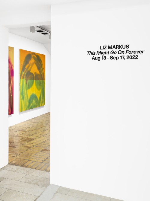 Liz Markus, This Might Go On Forever, Aug 18–Sep 17, 2022. 