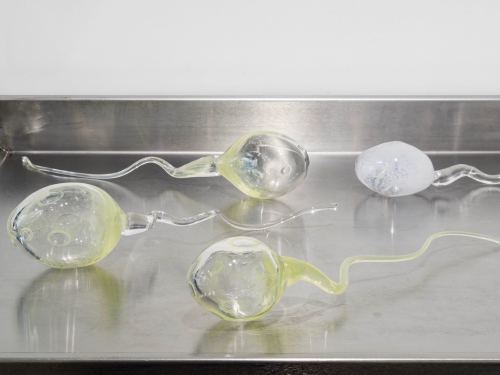 Zoe Barcza, Sperm, 2016. Hand blown glass, Varying sizes approx 3 x 3 x 14 in, 7 x 7 x 35 cm