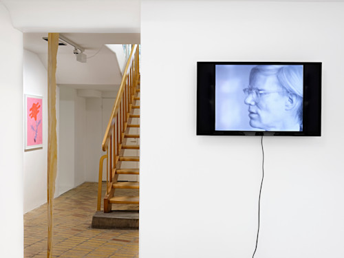 A Seed's A Star, curated by Constance Tenvik, Jun 15–Aug 17, 2019. Michel Auder, Heads of the Town, 2009
