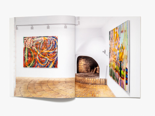 Lauren Quin, Bat's Belly, Catalogue. 