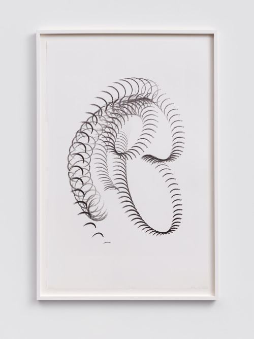 Ara Peterson, 2016. Graphite on cotton linen paper, 40 x 26 in, 102 x 66 cm