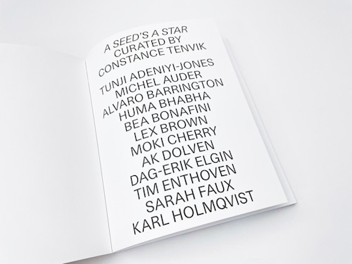 A Seed's A Star, Curated by Constance Tenvik, Jun 15–Aug 17, 2019. 