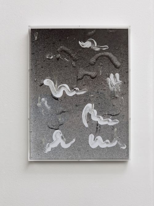 Sandra Vaka Olsen, Sunshield 2, 2014. Photograph, suncream on dibond in plexiglass frame, epoxy, 16 x 12 in, 40 x 30 cm