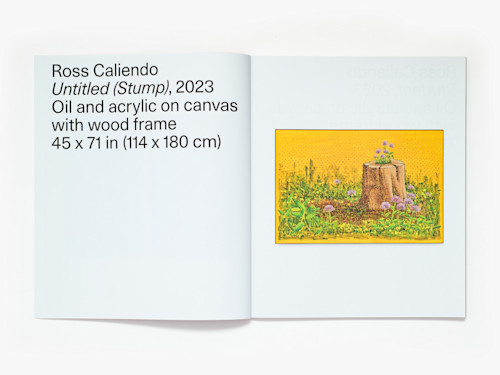 Ross Caliendo, Horizon Pupil, Catalogue. 