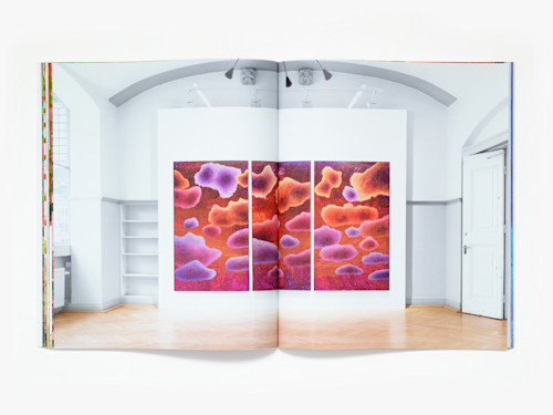 Ross Caliendo, Horizon Pupil, Catalogue. 