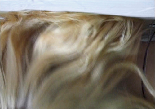 AK Dolven, Power of the flower to you, 1997. Video, 7:16 minutes
