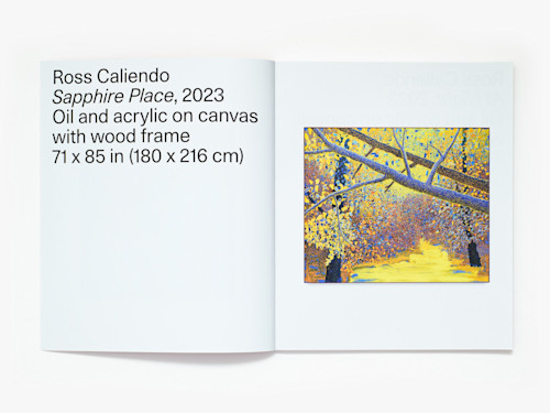 Ross Caliendo, Horizon Pupil, Catalogue. 