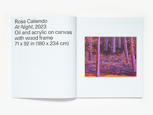 Ross Caliendo, Horizon Pupil, Catalogue. 