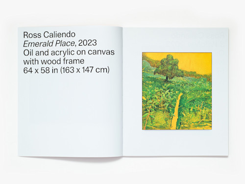 Ross Caliendo, Horizon Pupil, Catalogue. 
