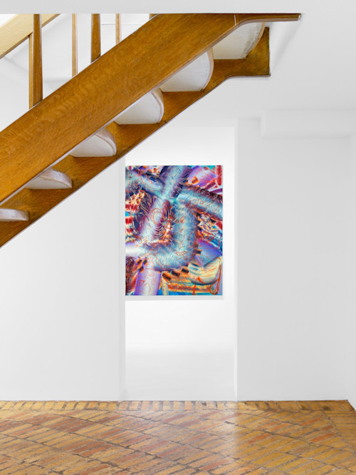 Lauren Quin, Bat’s Belly, Jun 3–Jul 17, 2021. 