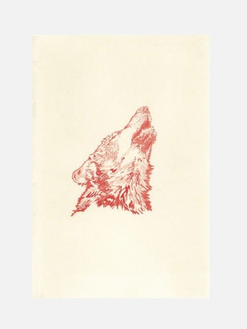 Anna Norlander, Wolf, 2005. Pen on paper, 13 x 18 in, 33 x 20 cm