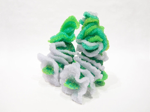 Raul de Nieves, Eleven Blooms, 2013. Mixed media on shoe, 17 x 17 x 13 in, 43 x 43 x 33 cm