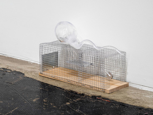 Zoe Barcza, Sperm, 2016. Hand blown glass, Varying sizes approx 3 x 3 x 14 in, 7 x 7 x 35 cm