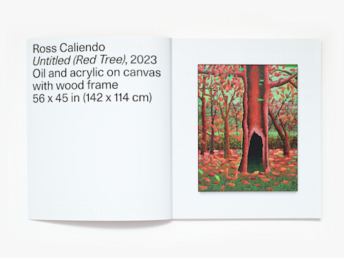 Ross Caliendo, Horizon Pupil, Catalogue. 