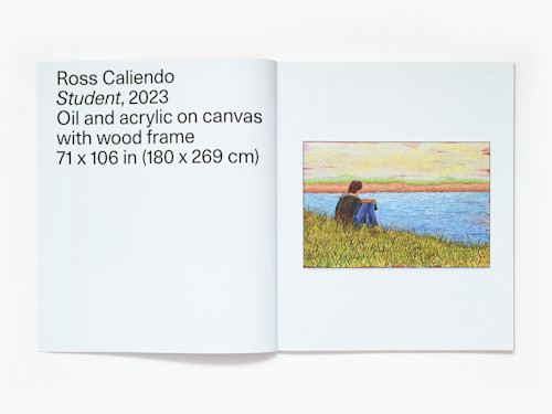 Ross Caliendo, Horizon Pupil, Catalogue. 