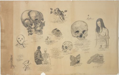 Wes Lang, Skulls and Shit, 2006. Pencil on paper, 24 x 38 in, 61 x 96 cm