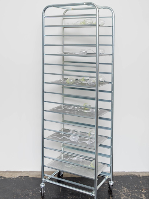 Zoe Barcza, Texas Liquid Smoke 1, 2016. 20 hand-blown glass ‘sperm’ on metal baking rack, 72 x 16 x 24 in, 182 x 40 x 60 cm