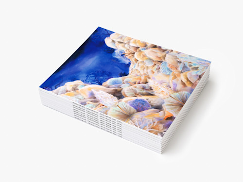 Michelle Blade, The Blue Horse, Catalogue. 
