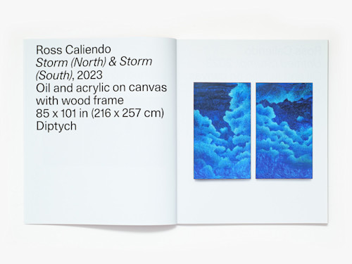 Ross Caliendo, Horizon Pupil, Catalogue. 